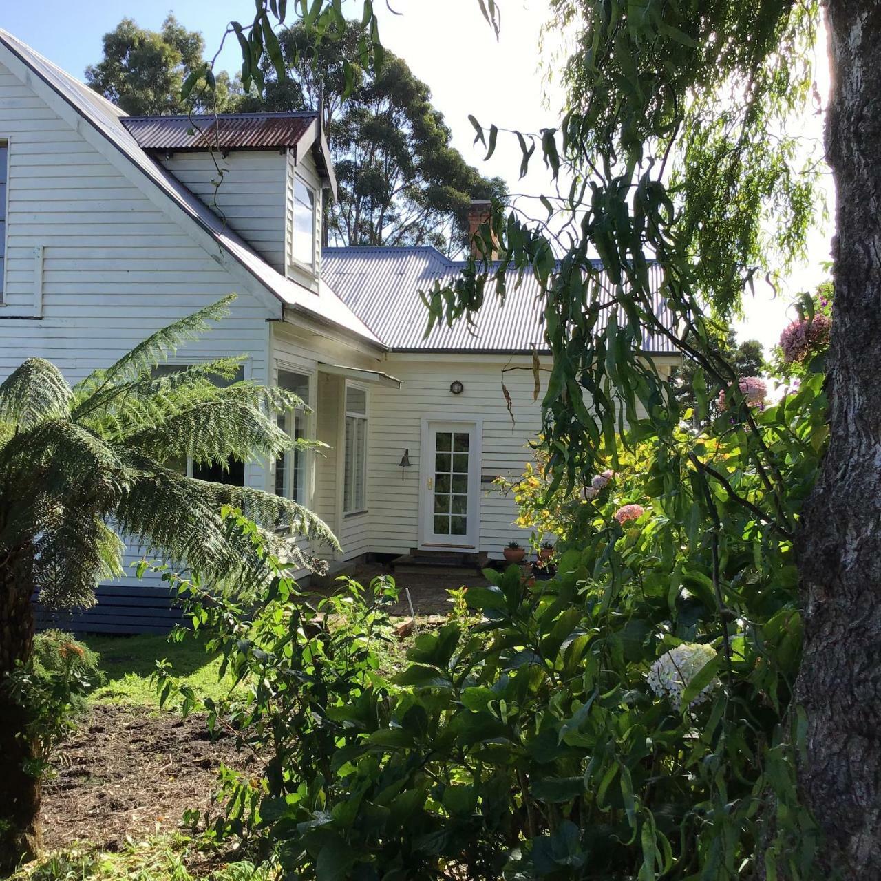 Bed and Breakfast Harrison House Strahan Exteriér fotografie